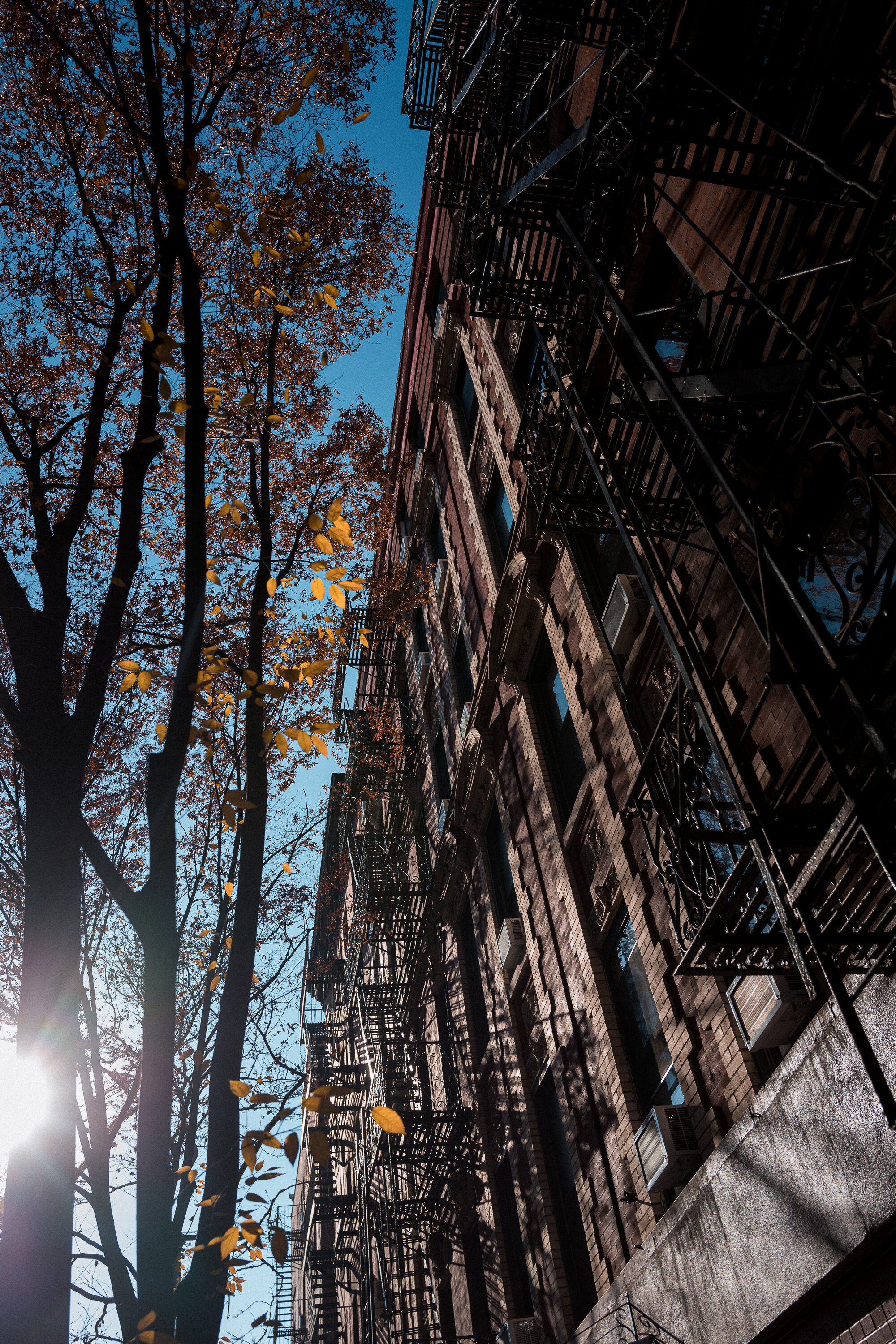 NYC